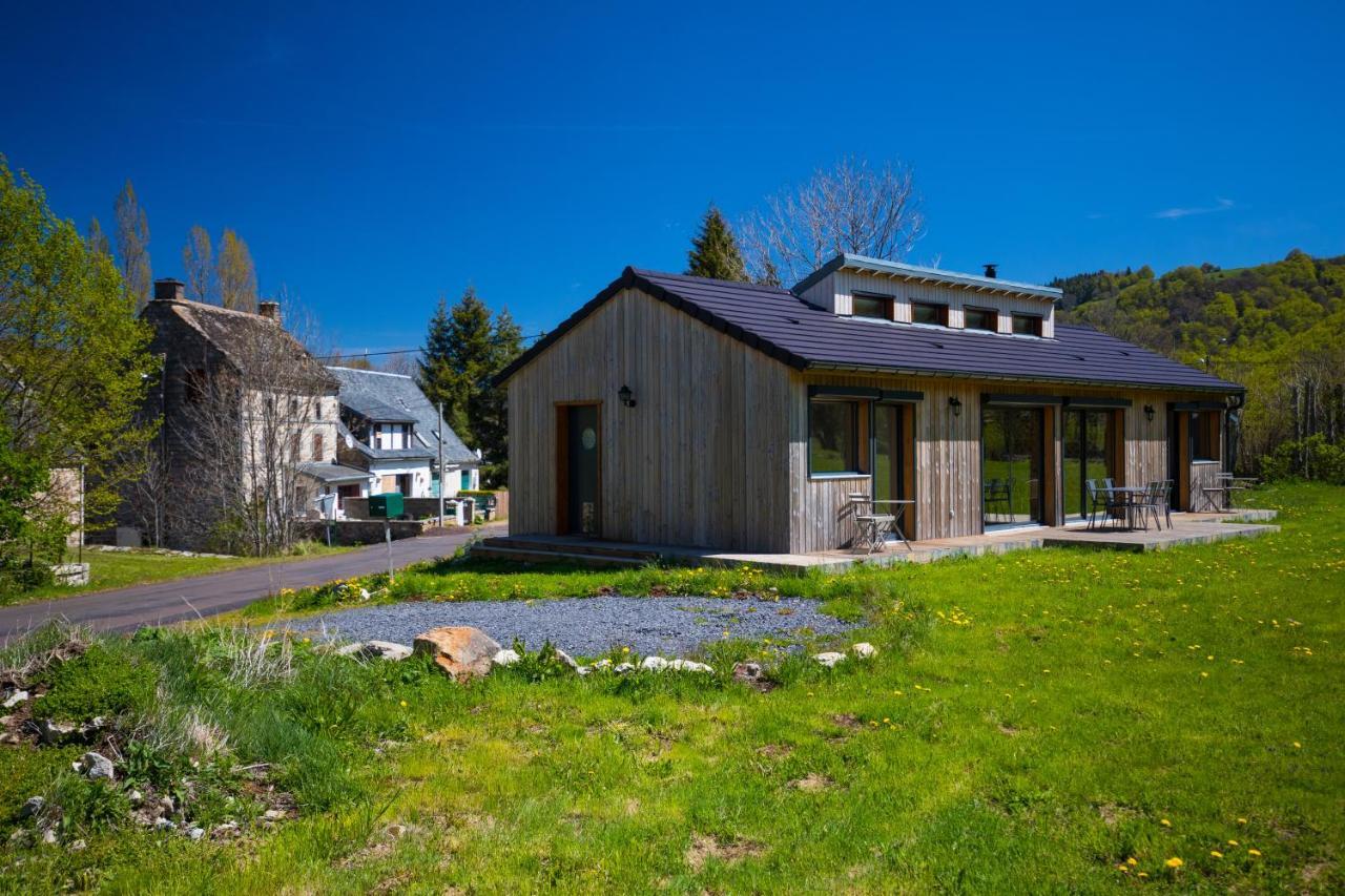 Villa La Dormeuse Du Val Chambon-sur-Lac Exterior foto